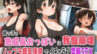 d 558693pl
