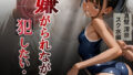 d 586331pl