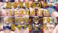 d 588545pl
