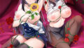 d 762993pl