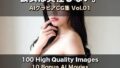 d 773588pl