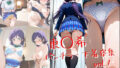 d 775365pl