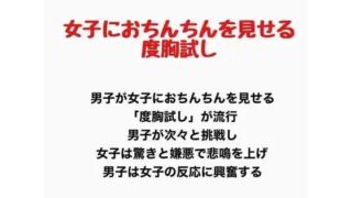 d 777603pl