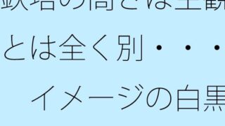 d 777967pl