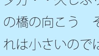 d 777975pl