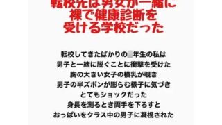 d 778191pl
