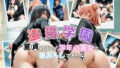d 779152pl