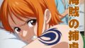 海賊の捕虜【無料試聴】 41 d 779882pl