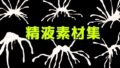 d 781091pl