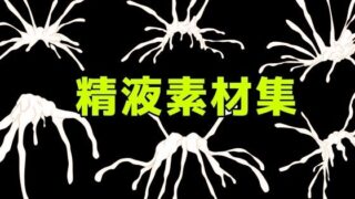 d 781091pl