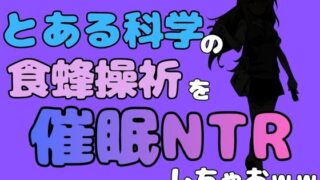 d 781633pl