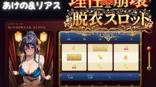 d 781676pl