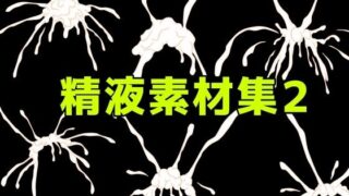 d 781687pl