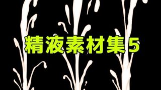 d 782976pl