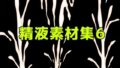 精液素材集6【無料試聴】 33 d 783335pl