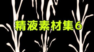 d 783335pl