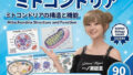 【▲20】一ノ瀬廻里 大学に進学し強豪予備校『DOPUX(ドピュックス』で生物I,IIを教える名物講師に!(Vol.001:ミトコンドリア)【無料試聴】 32 d 783444pl
