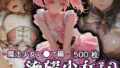 d 784190pl