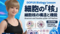 【▲20】一ノ瀬廻里 大学に進学し強豪予備校『DOPUX(ドピュックス』で生物I,IIを教える名物講師に!(Vol.004:細胞の核)【無料試聴】 31 d 784655pl