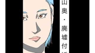d 786381pl