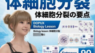 d 787222pl