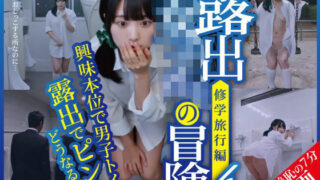 d 778129pl