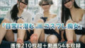 d 781313pl