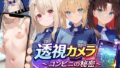 透視カメラ〜コンビニの秘密〜 セイバー・凛・イリヤ編【無料試聴】 33 d 786001pl