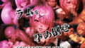 d 786332pl