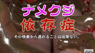 d 787438pl