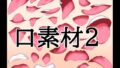 d 787989pl