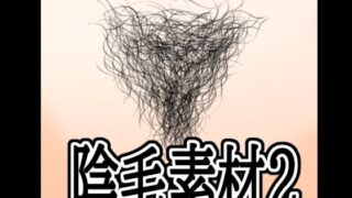 d 788941pl