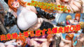 d 793382pl