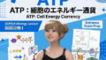 【▲20】一ノ瀬廻里 大学に進学し強豪予備校『DOPUX(ドピュックス』で生物I,IIを教える名物講師に!(Vol.019:ATP)【無料試聴】 37 d 794304pl