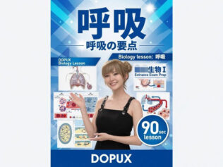 d 795601pl