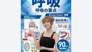 d 795601pl
