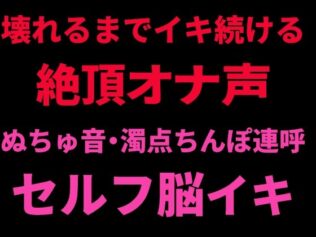 d 798731pl