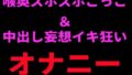 d 798738pl
