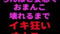 d 799104pl