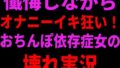 d 799106pl