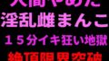 d 799108pl