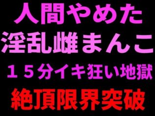 d 799108pl