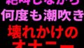 d 799112pl