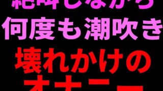 d 799112pl