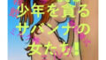 d 799175pl
