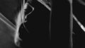 d 799398pl