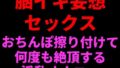 d 799628pl