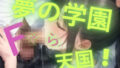 d 799798pl